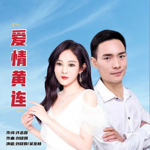 爱情黄连 (对唱版伴奏)