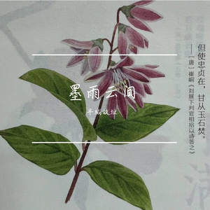 伸冤（请清风送鼓声，请苍天鉴忠奸）