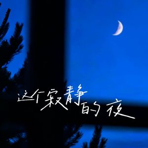 一个寂静的夜