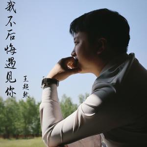 我不后悔遇见你