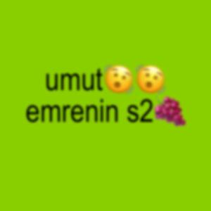 EMRENİNS2