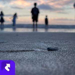 窗台边(Prod.Siren & EVOMUSIC)