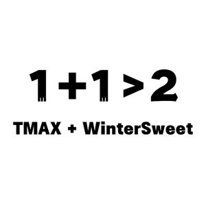 1+1>2(prod by Riven77)