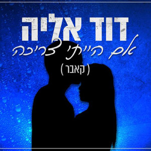 אם הייתי צריכה (קאבר)