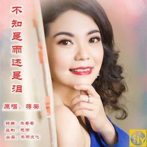 不知是雨还是泪