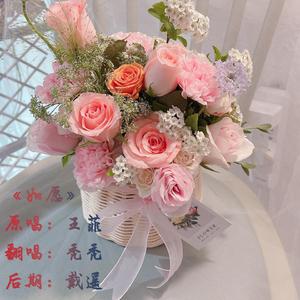 如愿（Cover.王菲）