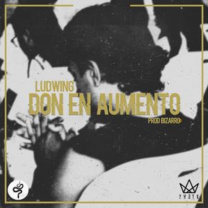 Don En Aumento (feat. Ludwing)