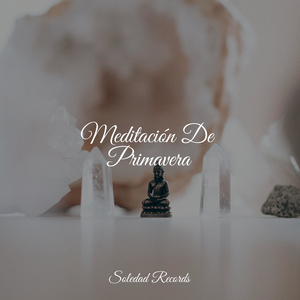 Sanaciones Pacíficas