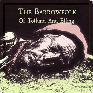 Harebells And Hawkbit