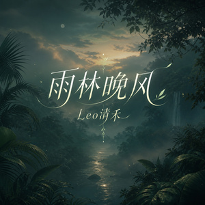 雨林晚风