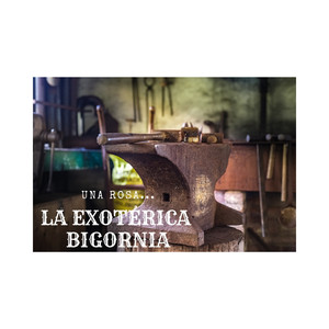 Flechas Al Azar