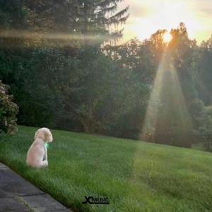 万物春（cover潘成＆格子兮）（翻自 潘成＆格子兮）