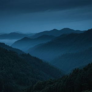 无邪荻花