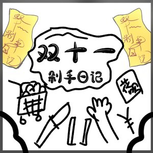 双十一剁手日记