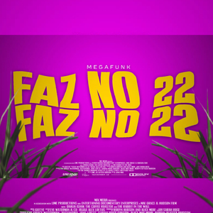 MEGA FAZ NO 22