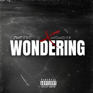 Wondering (feat. Adadon)