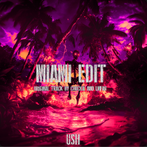 MIAMI EDIT