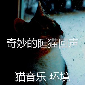 一尘不染小猫印象数