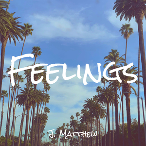 Feelings