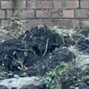 secrets i wish to tell but can't