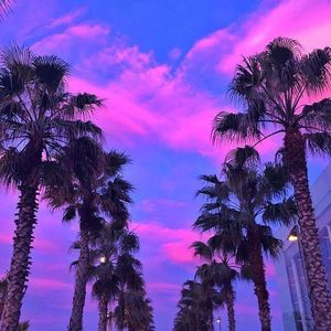 DJ MR STEVEN - SUMMER FRESH TAPE