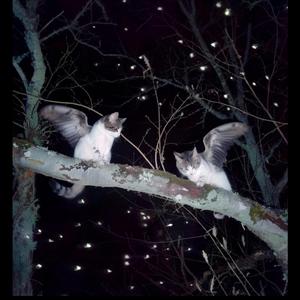 0H L0RD (feat. sossemup)