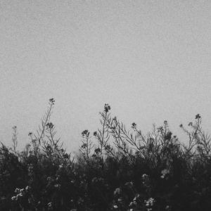 Yo Te Quiero Tanto Pero Te La Suda