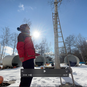 サイレン～破滅を知らせる鳥の歌～