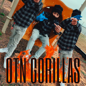 OTN Gorillas