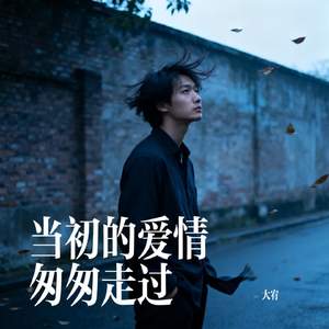 当初的爱情匆匆走过