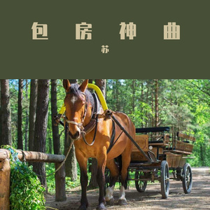 苏路生 - 音魂不散 (DJ版)