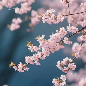 春尽