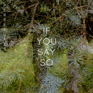 If You Say So