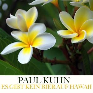 Es Gibt Kein Bier Auf Hawaii
