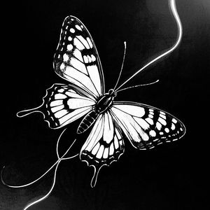 Lazy × 网感 Type Beat "电子蝴蝶"