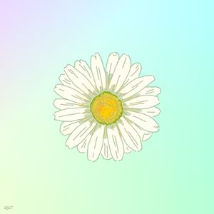 【FREE】"Bellis perennis" // ^Guitar beat^