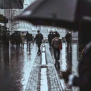 浪浪山上的小猪妖