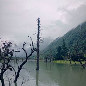 夜空中最亮的星