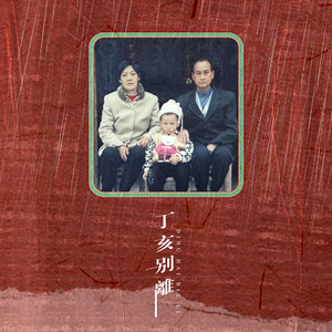 丁亥别离