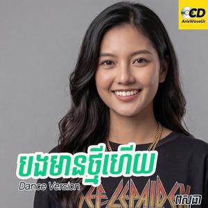 បងមានថ្មីហើយ