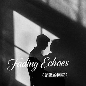 Fading Echoes(消逝的回应)