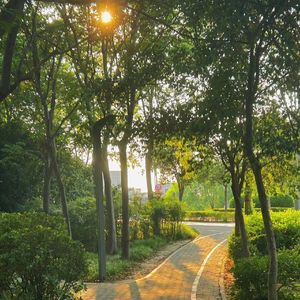 写给你的365封情书 ProdEVOMUSIC