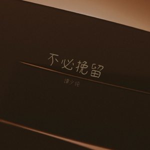 不必挽留 (伴奏)