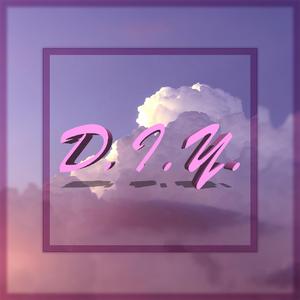 D.I.Y.