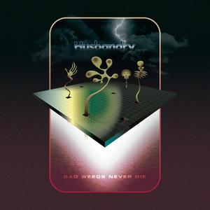 Never Trust a Cuckold