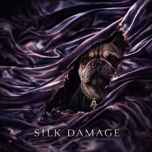 SILK DAMAGE