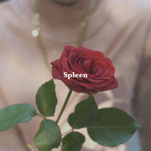 Spleen