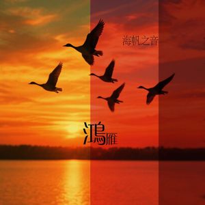 鸿雁