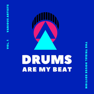 Tribalismo Sintetico (Original Mix)