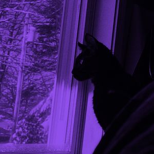 open window